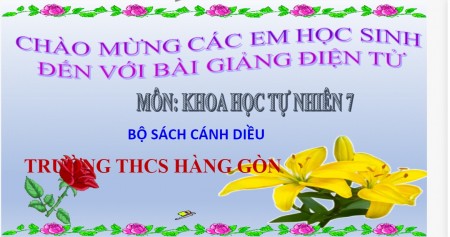 Bai3Soluocbangtuanhoancacnguyentohoahoc   Cc Cc