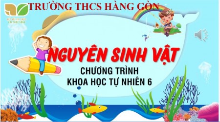 Bainguyensinhvat   Cc Cc
