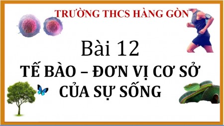 tebaodonvicuasusong   Cc Cc