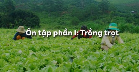 Đề Thi Phần Nông Nghiệp CN7