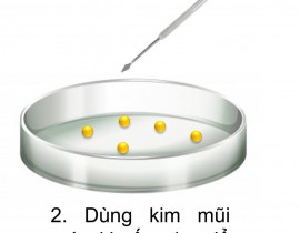 301146279-1701606980206305-4712203405074702066-n.jpg