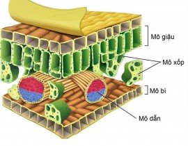 301299165-1701608896872780-6869003548794690284-n.jpg