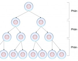 301355833-1701606573539679-764163581524751232-n.jpg