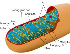 301364650-1701160373584299-8659547984079808854-n.jpg