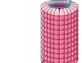 300366385-1701161246917545-3101885476451816282-n.jpg