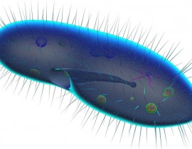 300778486-194679189657713-1913674500715207102-n.jpg