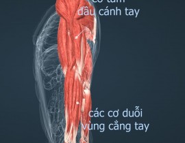 305562397-1710106496023020-6435185444961467980-n.jpg