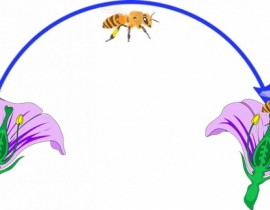 301993593-1710245169342486-5858095901535670091-n.jpg