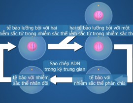 305615001-1709970822703254-7944207833611530799-n.jpg
