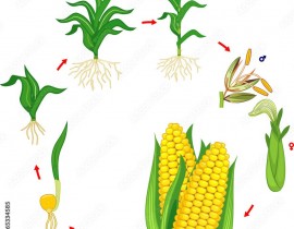 305472254-1710262789340724-497988098925525449-n.jpg