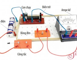 368183253-1942643942769273-8665890081453005085-n.jpg
