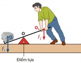 368203449-1942643102769357-6622534416286553717-n.jpg