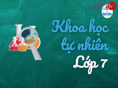 Trắc nghiệm KHTN 7 Bài 19: Các yếu tố ảnh hưởng đến quang hợp - Cánh diều