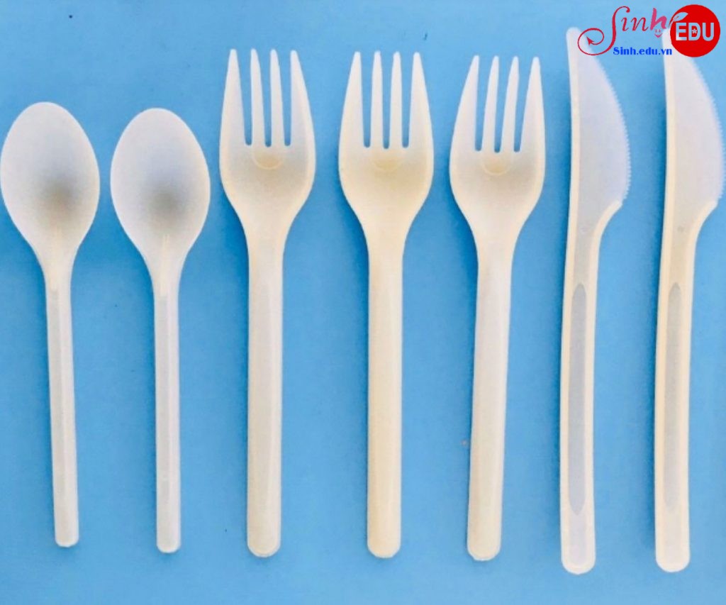 Thi nghiem tao can muong tu nhua phan huy sinh hoc 1024x853