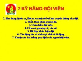 7 YÊU CẦU ĐỐI VỚI ĐỘI VIÊN ĐỘI TNTP HỒ CHÍ MINH